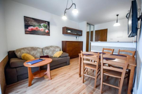 Apartamenty Sun & Snow Kraszewskiego